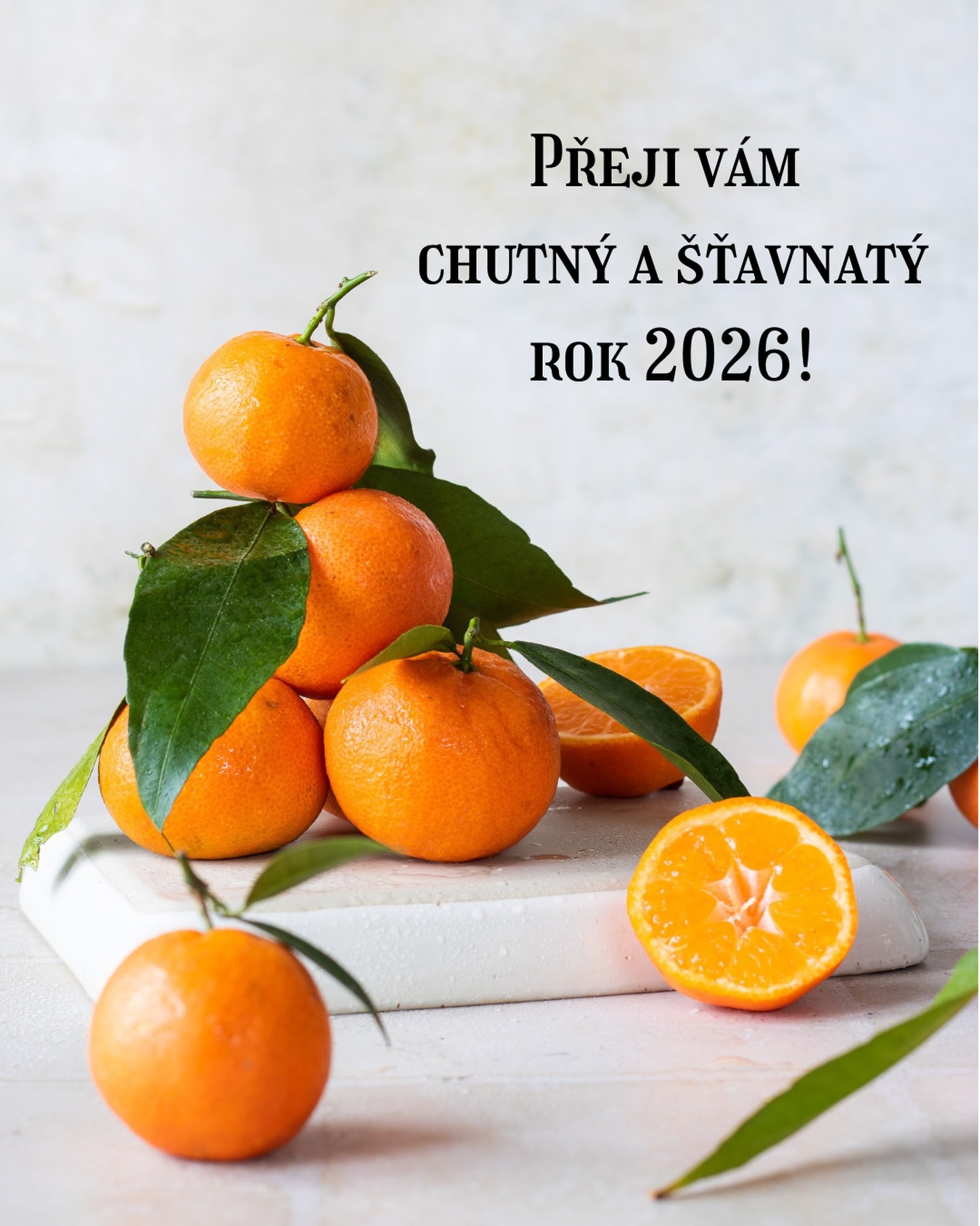 Chtěla bych vám v tomto roce popřát hlavně zdraví 💝 Važme si ho a pečujme o něj 🙏 Ráda bych vám také popřála, aby to byl rok plný krásných zážitků, šťávy a zajímavých zkušeností, abyste byli v obklopení milovaných a milujících lidí ❤️ 
Šťastný nový rok 2026! 
#prani #stastnynovyrok #pf2026 #zdravi #laska